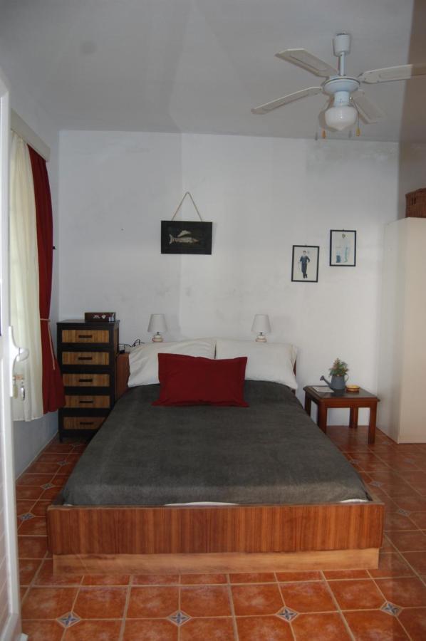 Ferienhaus Cosy In Allopronoia Sikinos Alopronia