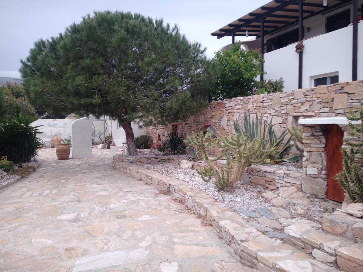 Cosy In Allopronoia Sikinos *